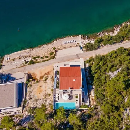 Dida Bozo By Guide *