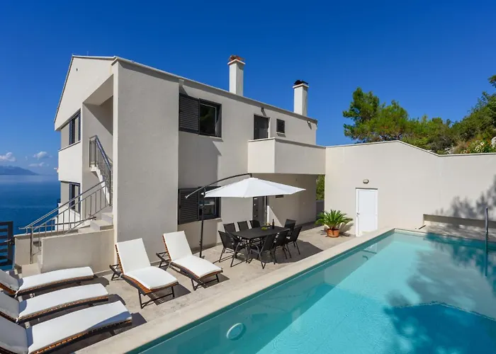 Dida Bozo By Guide *