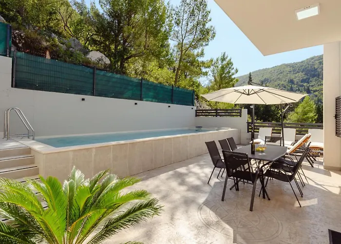 Dida Bozo By Guide *