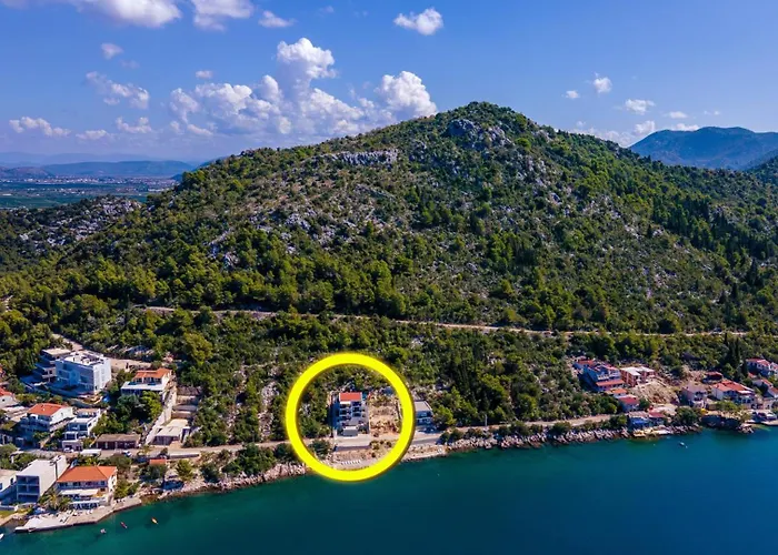 Dida Bozo By Guide 블라체