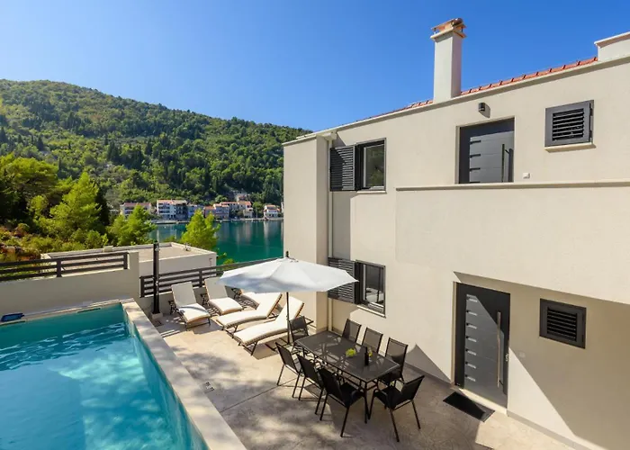 Dida Bozo By Guide * 블라체