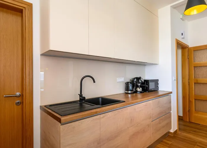 Dida Bozo By Guide * 블라체