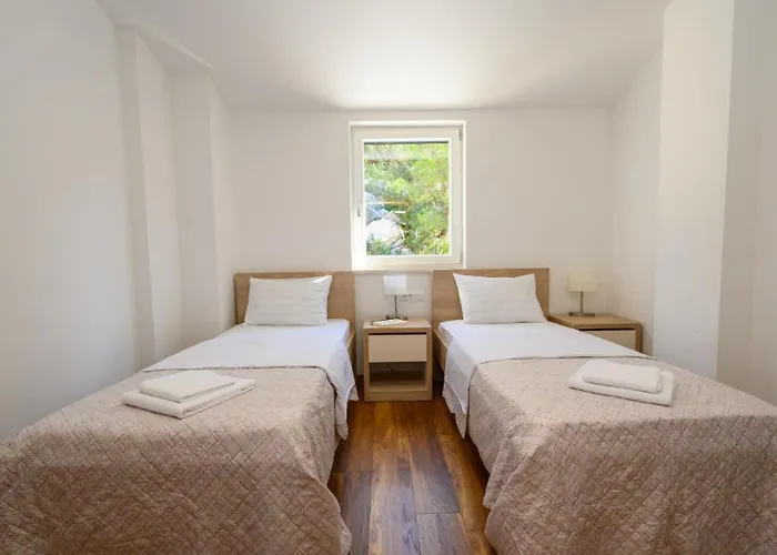 Dida Bozo By Guide *